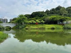 -王借岗森林公园