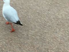 -番禺广场(市桥街道)