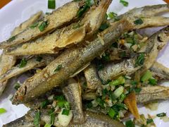 -全乐鱼馆·淳牌有机鱼直营店