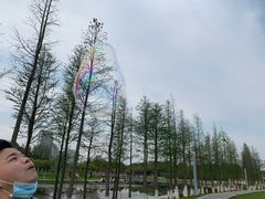 -瑶湖郊野森林公园