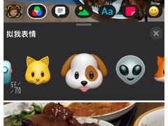 -爱月宝月嫂·育儿嫂