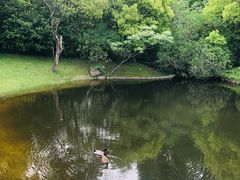 -上海怡沁园度假酒店
