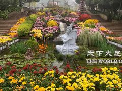 -南山植物园