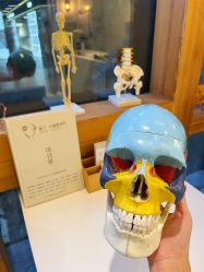 -菊子小颜·日式整骨