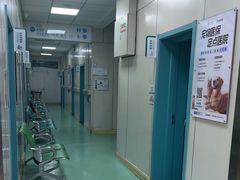 -北京观赏动物医院·24小时大型综合·猫专科·异宠专科
