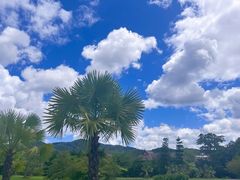 -中国科学院西双版纳热带植物园