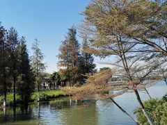 -海珠湖公园