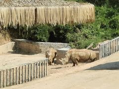 -泉州海丝野生动物世界