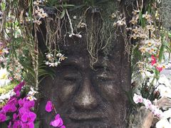 -北京植物园-展览温室