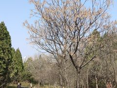 -千佛山风景名胜区