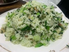 -丁老爷子苏香圆