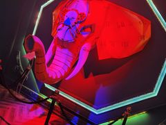 -疯克大象美式烤肉餐厅