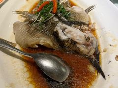 清蒸老虎斑-宝燕壹号(徐汇店)