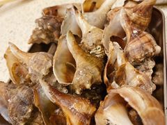 -白仁仔· 活烤海鲜 宵夜(豫园店)