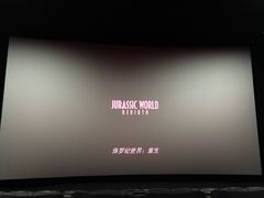 -新影联·华谊兄弟影院(望京店)