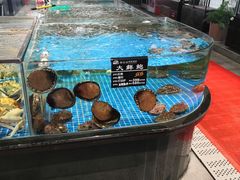 -苏先生海鲜渔庄(金桥店)