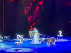 -珠海横琴长隆《卡卡虎奇遇记》