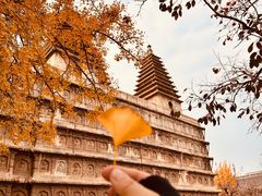 -北京石刻艺术博物馆(五塔寺)