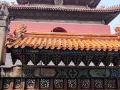 -北陵公园