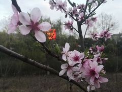 -SAH健身私教工作室(紫东店)