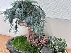 -厦门市图书馆(集美新城馆区)