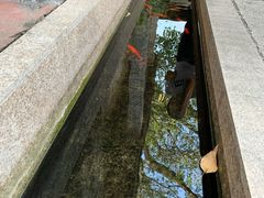 -伦教678文化街