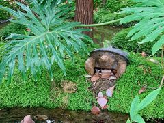 -成都市活水公园