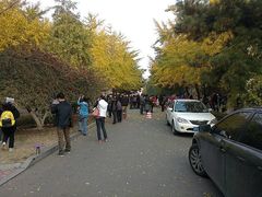 android_upload_pic-辽宁大学(崇山校区)
