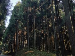 -山王坪喀斯特国家生态公园