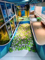 -KidSteam儿童乐园(富力城店)