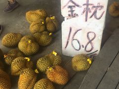 -海吉星市场