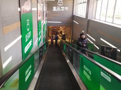 -盒马鲜生(红莲店)