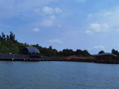 -东寨港红树林旅游区