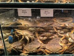 -衢农会·衢州菜·宴请(国际机场店)