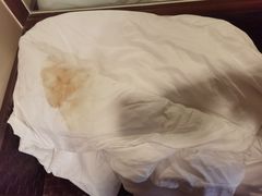 -深圳东部华侨城茵特拉根酒店