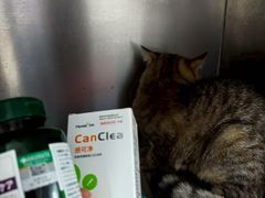 -嘉馨宠物医院·CT影像转诊·心脏科·犬猫全科诊疗中心(下沙大学城院区)