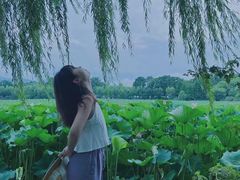 -云龙湖旅游景区