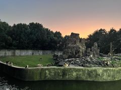 -合肥野生动物园