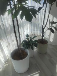 -HEYAN荷妍专业脱毛连锁机构