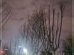 -天鹅湖体育公园