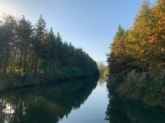 -溱湖国家湿地公园