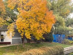 -元大都城垣遗址公园