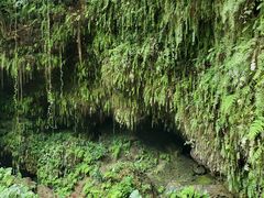 -海口火山口国家地质公园