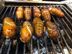 -丹东特色烤肉(学府路一部店)