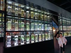 -广东中医药博物馆
