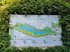 -华侨城湿地公园