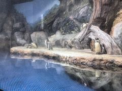 -福州罗源湾海洋世界旅游区