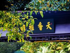 -宝通禅寺