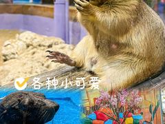 -顺德南宏海立方海洋公园