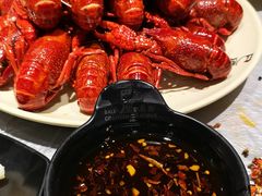 极品蒸虾-巴厘龙虾·榜首油焖大虾(旗舰店·万松园)